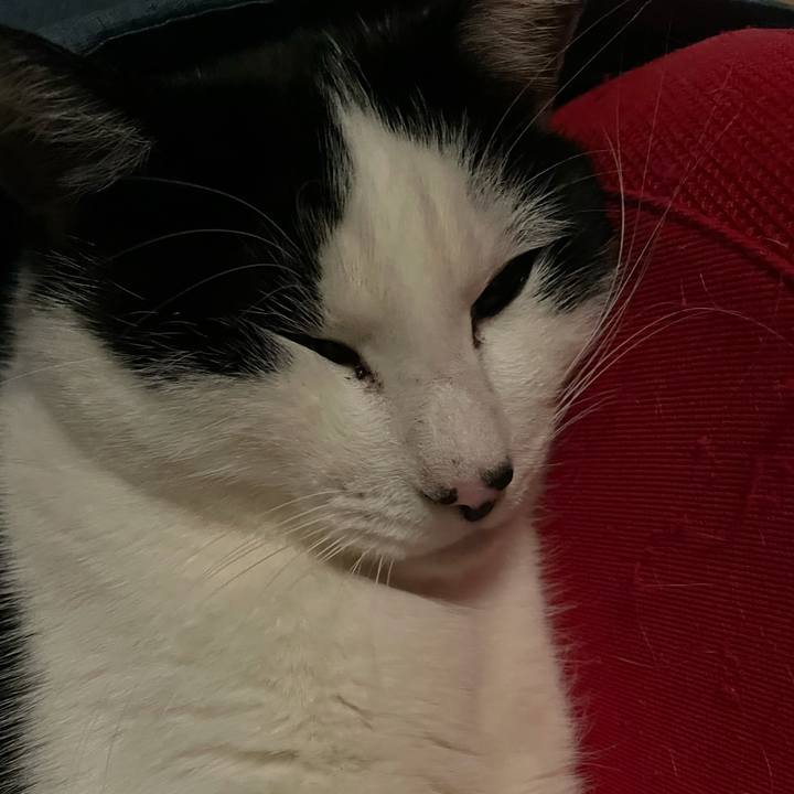 9ae69ee0 3116 4b4b afa8 6d47c52d20c8 1642514912801