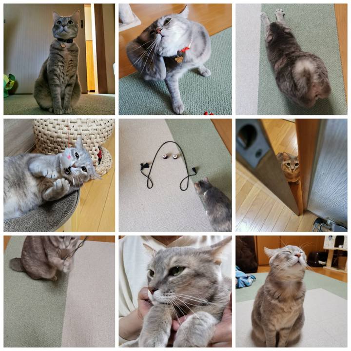 9ae6b45d 6722 476f 8eec 4fb458087670 1644380194656