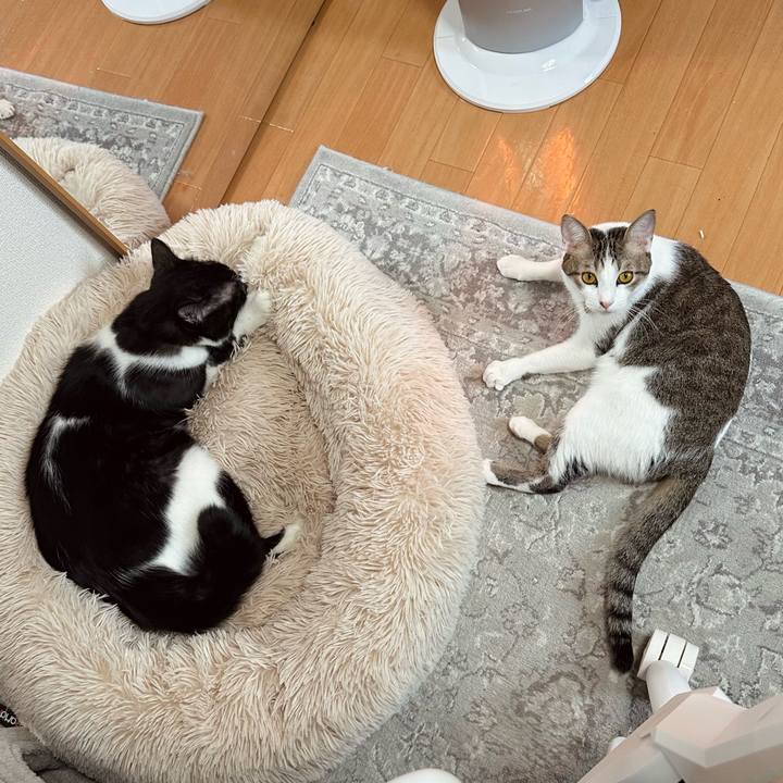 9ae6f4dd 3a5e 49d3 a2ce 9835e67ff4ec 1767581921187