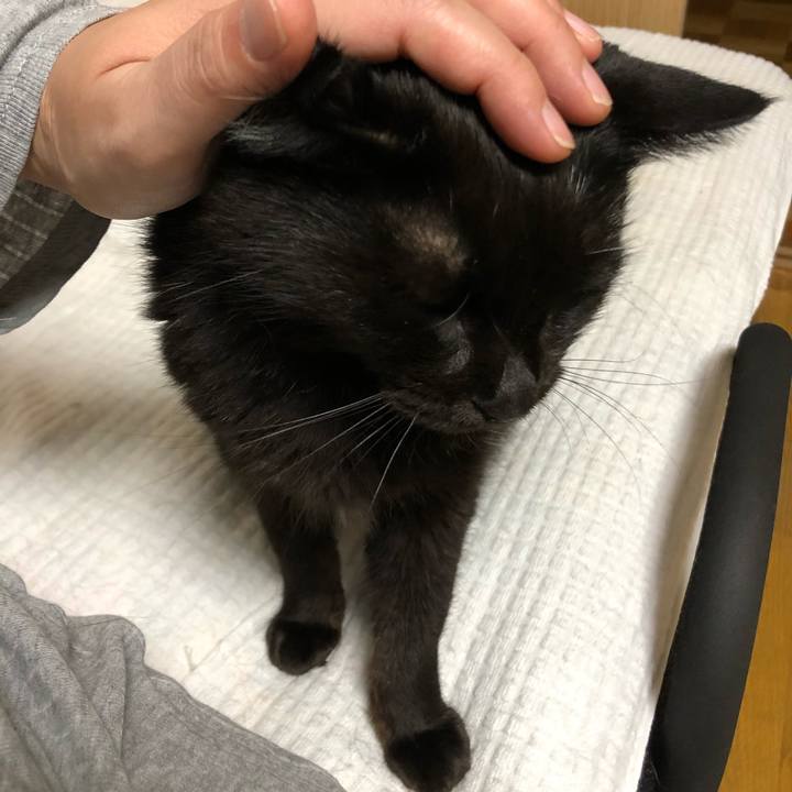 9ae70373 8f21 4c09 8de9 f006b20b925b 1599403782655