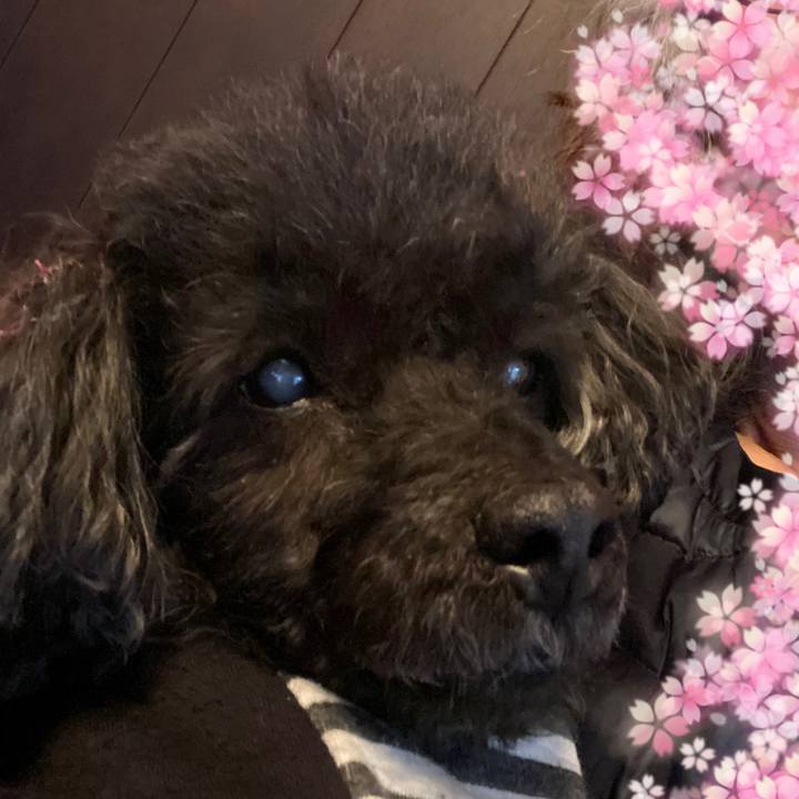 9ae703bc db4f 4822 9190 f94c2a09261f 1579836701700