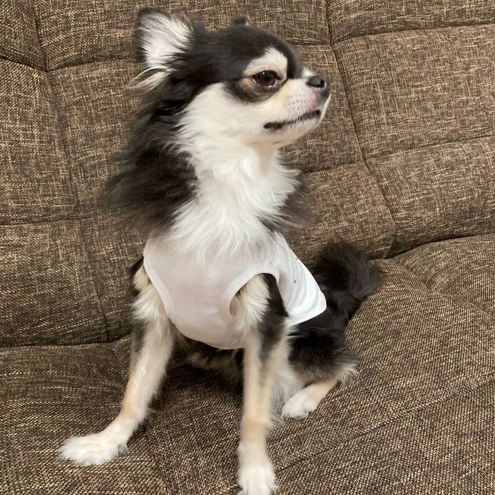 9ae74845 873b 416d b164 e47dd5cff9ae 1691246687153