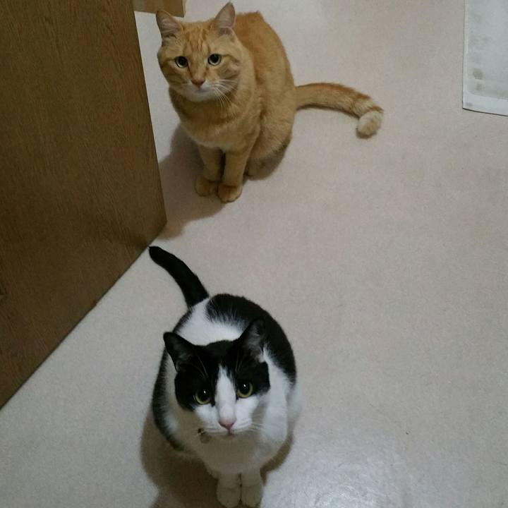 9ae7505e d40d 4202 b6e2 b34b1821de23 1537487138610