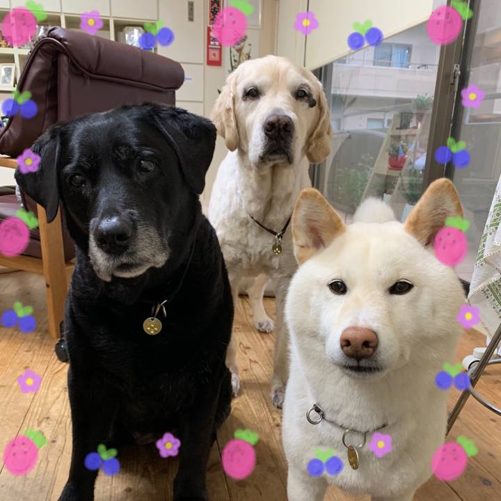 9ae75556 568e 4a05 84b6 b7aae3ab2a94 1590976332946