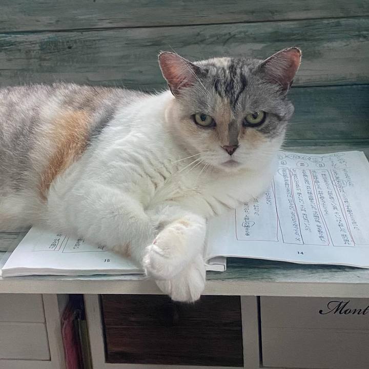 9ae7708d dce5 4455 9cd0 2d0f6eff46ce 1752528347229