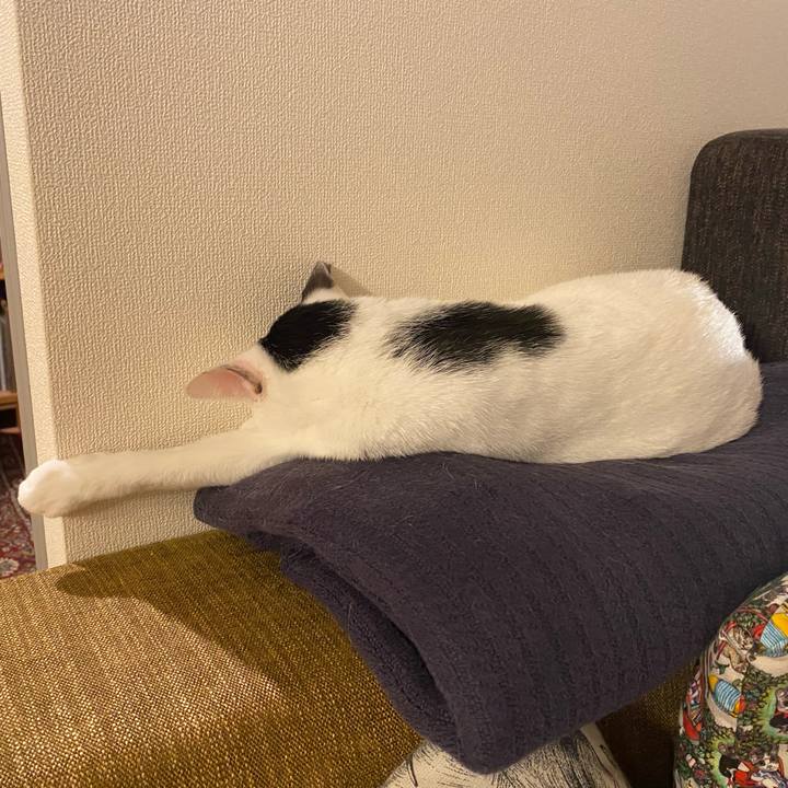 9ae7a19f 57d7 40a1 82d7 ee2701235584 1694564682175