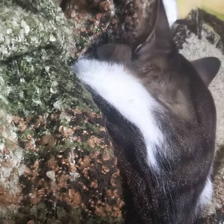 9ae7aaf6 07ab 497e ba51 021c95f509ff 1614779660726