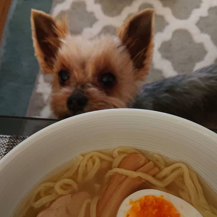 9ae7eec8 9d16 4f8e 9564 66dbf0a96cab 1557011454452