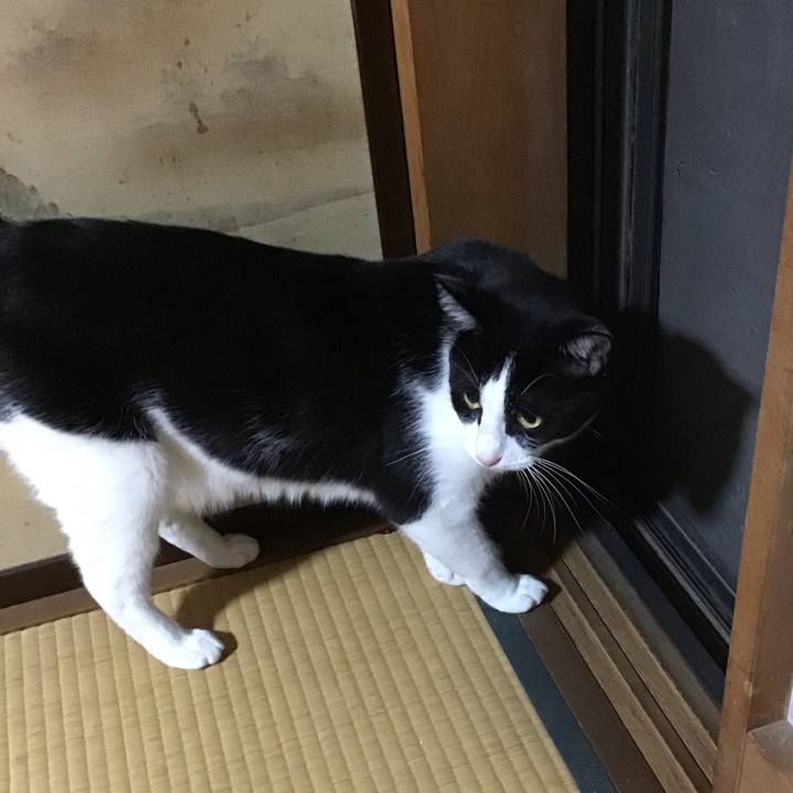 9ae842c1 cec8 4709 8e13 9e420ad0f9cd 1696079694287