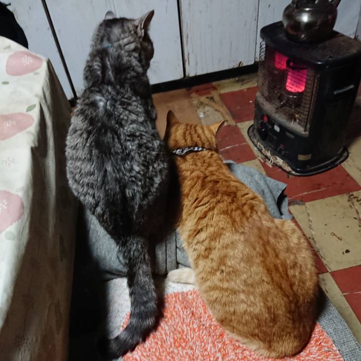 9ae85b66 ad3b 4775 834b cf684ac86913 1575924836061