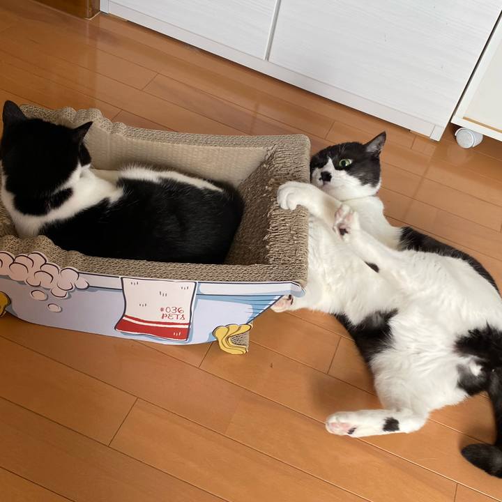 9ae87800 00f2 4df9 9885 7bfe40571638 1600749569495