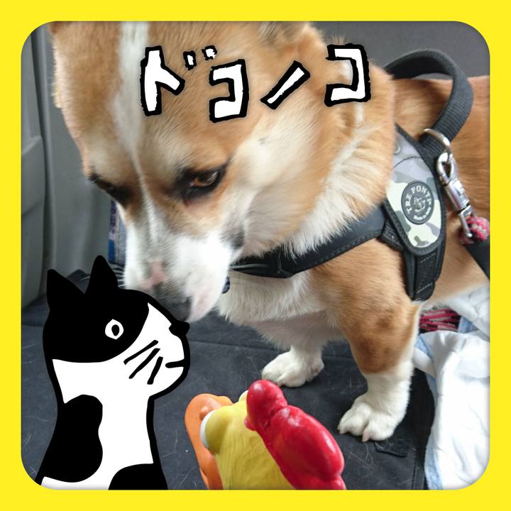 9ae89f19 9c55 468a 9d7f ab7202def412 1623020349036