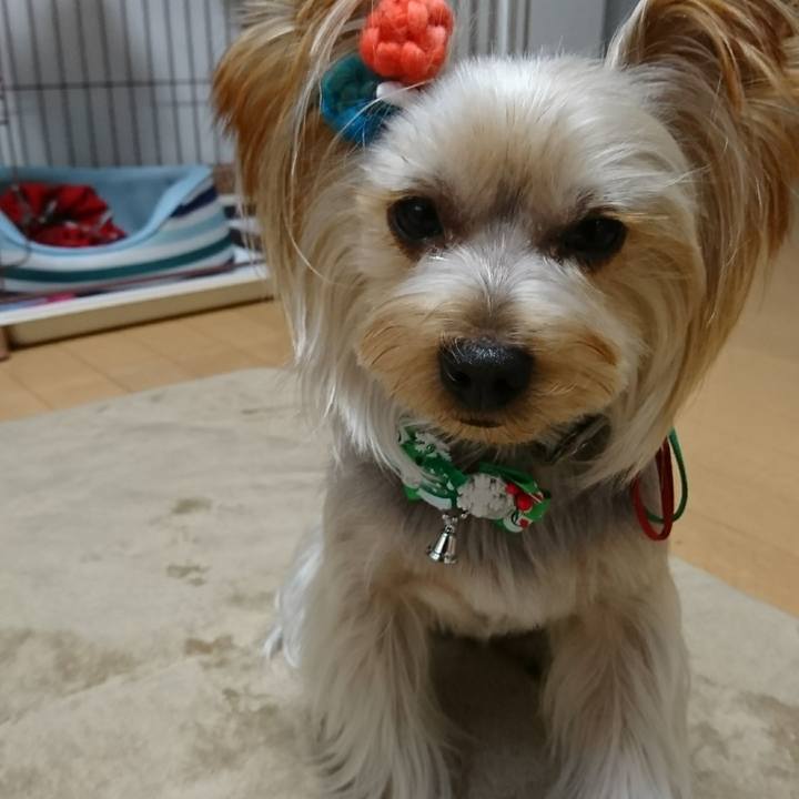 9ae8ac1b 0316 4845 a682 5d6f6031b721 1542607203923