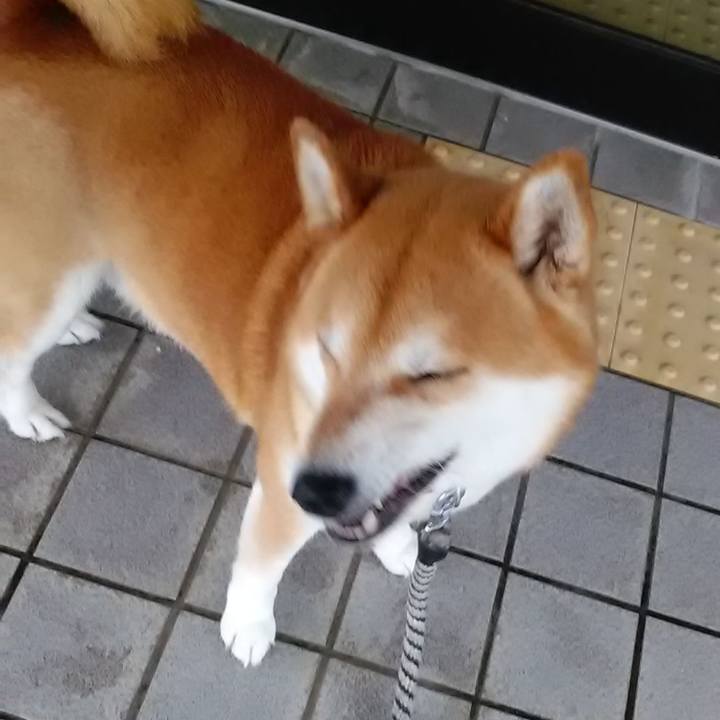 9ae8aeda f624 4156 b68f da1e5ff51b1c 1593906543275