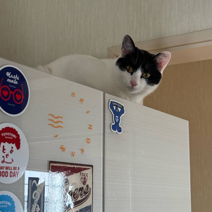 9ae944fa 806d 4468 97b3 f7c68e07c2a6 1772507837393