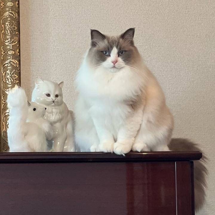 9ae95f39 ea6c 4005 8539 835b229edb5c 1687478520234