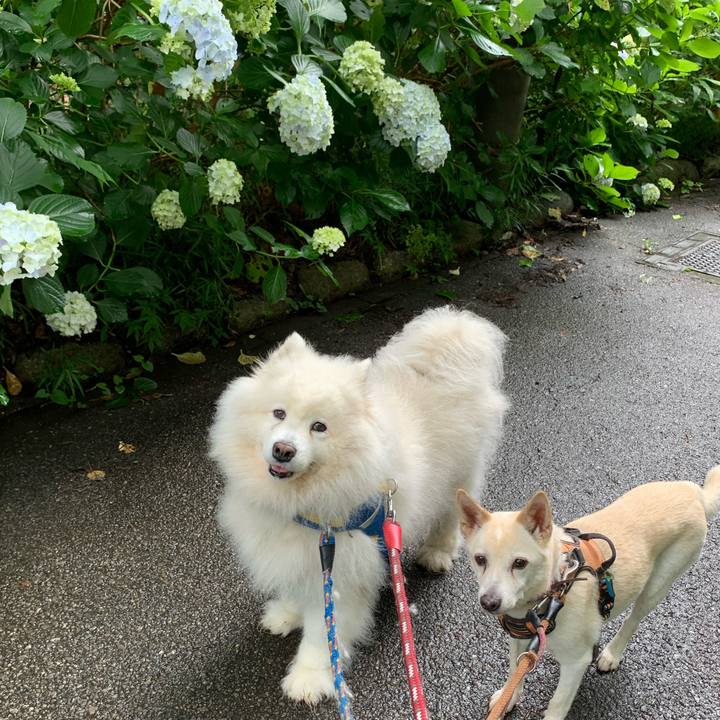 9ae97901 8360 4e8e 8bc9 9224ee950bd1 1686962196495