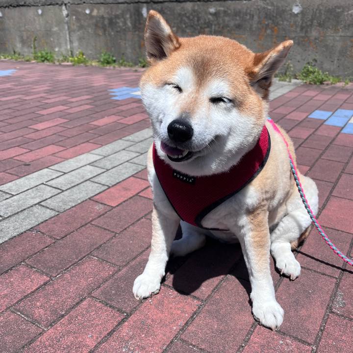 9ae98fab 02d5 4560 9a0a 1785d6baa8e2 1758850011202