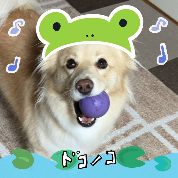 9ae9a81c 2353 48ff 84a8 3ce8002a29c5 1717582484717