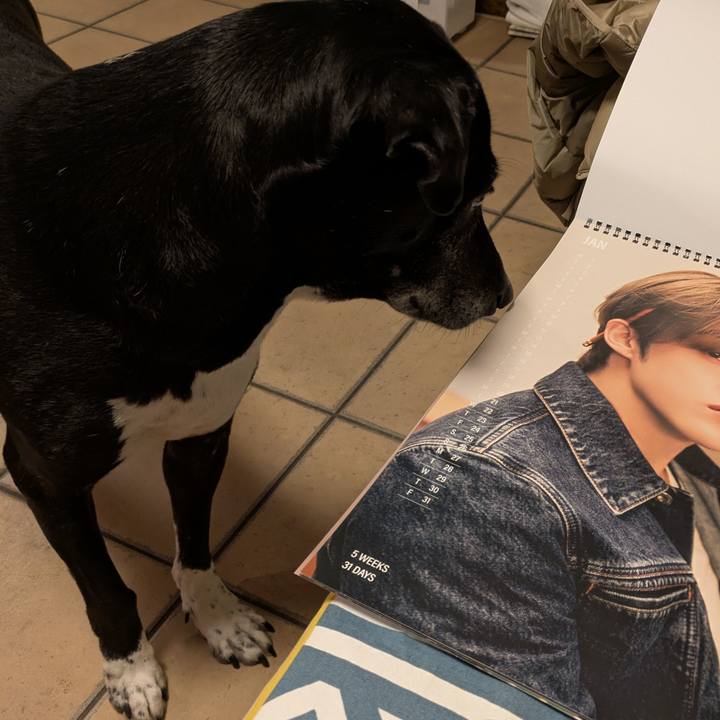 9ae9ea94 150c 4d23 b6ed ca42f3f1302d 1736505563930