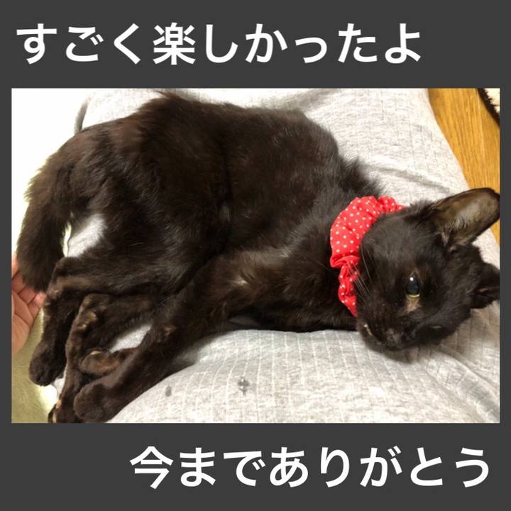 9aea1931 b28f 4a28 a9a7 08a588067903 1558710295500