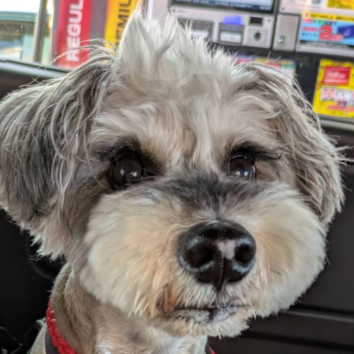 9aea7d83 b51b 4061 a24f 2a83ad0d536f 1756042857808