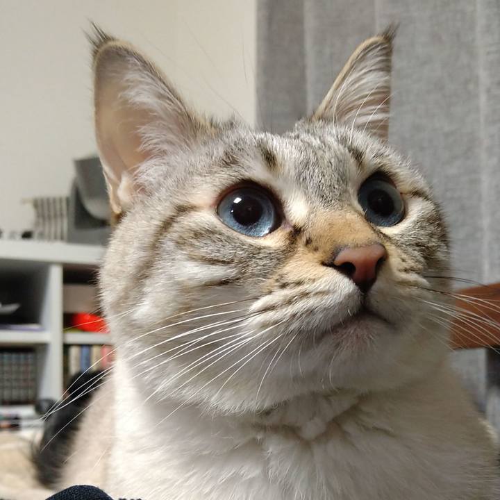 9aea8181 4347 4803 addf c036b6a7b062 1677502331330