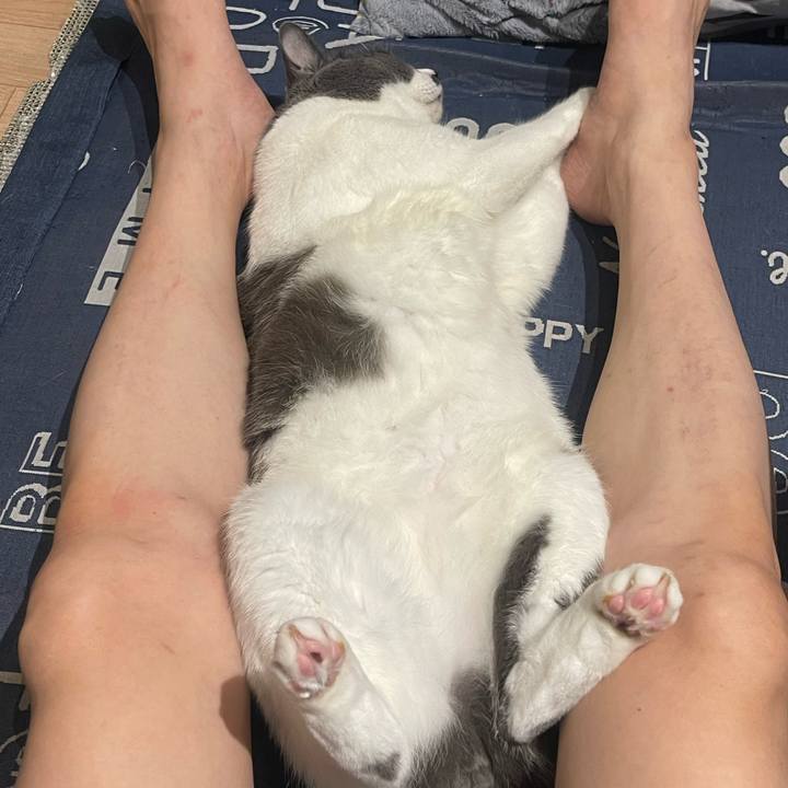 9aeb2eb8 0f4d 4e5f a6cc 316a7d84afc1 1727796539546