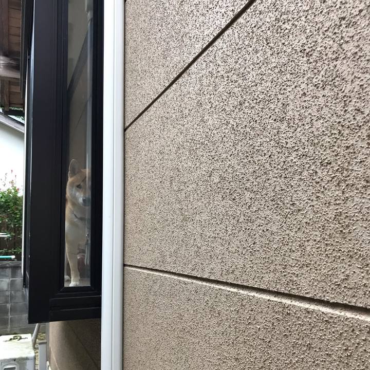 9aeb3e38 8e4f 4d2a 989c a0728bcbd962 1568969645780