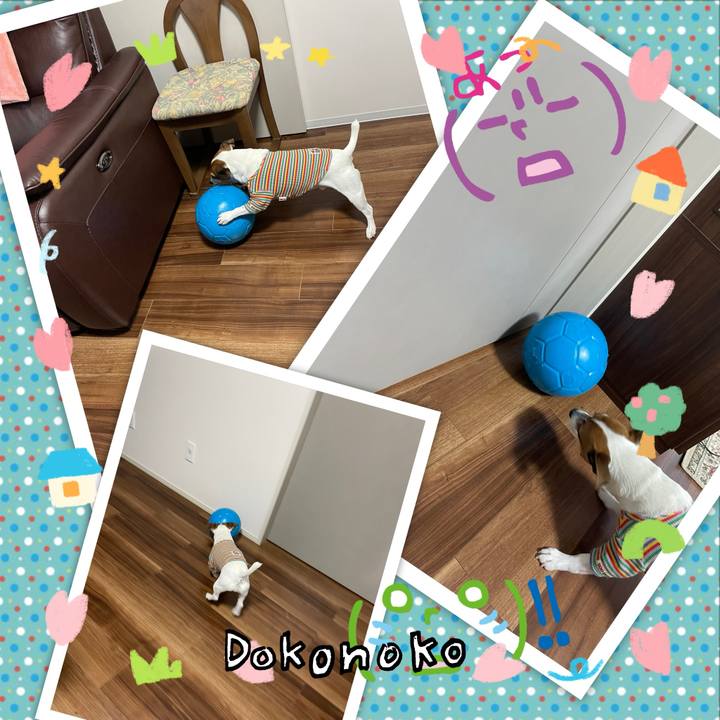 9aeb46f5 a562 4aa1 b7e9 fec999accd82 1741171842968