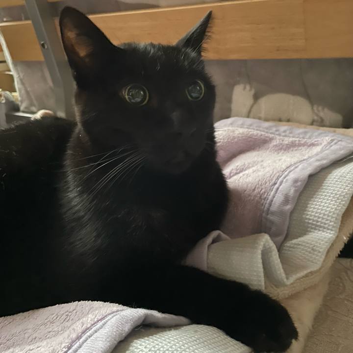 9aeb6813 d056 4b81 83d1 5c1e70b7dd3e 1635122129005