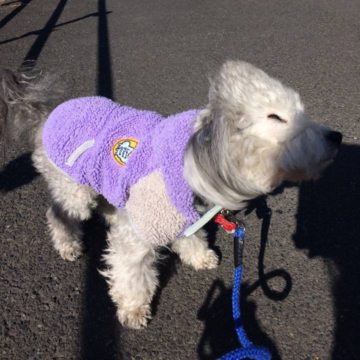 9aeb6b96 97dc 4eb6 b8a3 a80b9de6660f 1515316347227