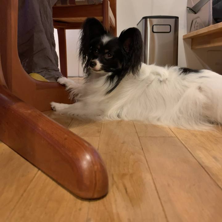 9aeb78d3 95f9 4559 b07d 83c2eaacc878 1541452693610