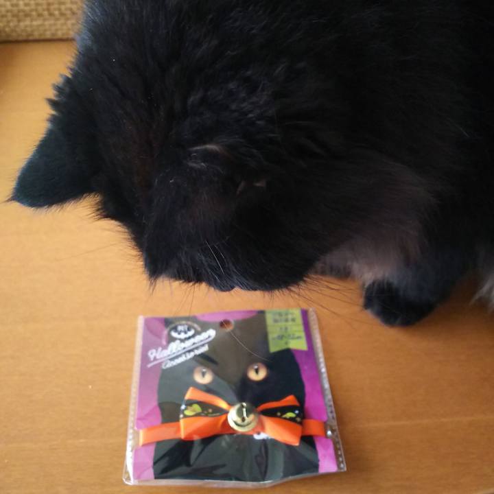 9aeb9258 4b50 48fa 8075 6b0936462c4e 1568434550230