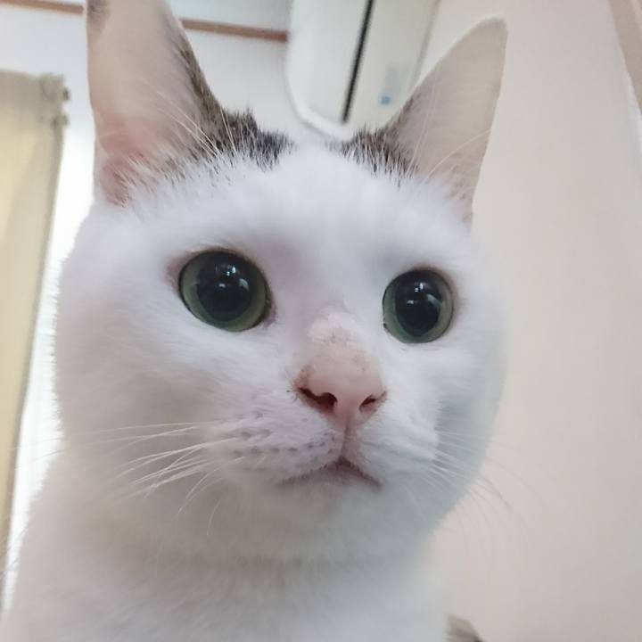 9aeb9ec5 aa8d 4c94 811a dcc728c7364e 1540556115392