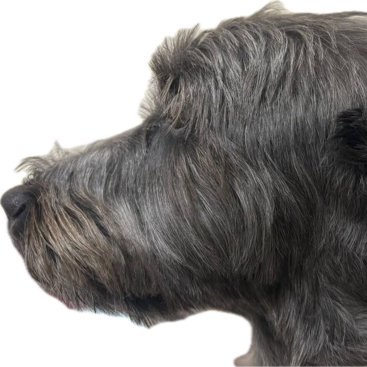 9aebb1f6 0143 446f 8590 b4783aa72c6e 1757597400243