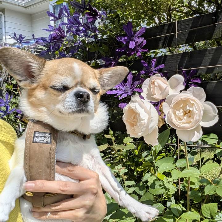 9aebe117 2baa 46e6 8f2d 7dc25f47f2c0 1747211038986