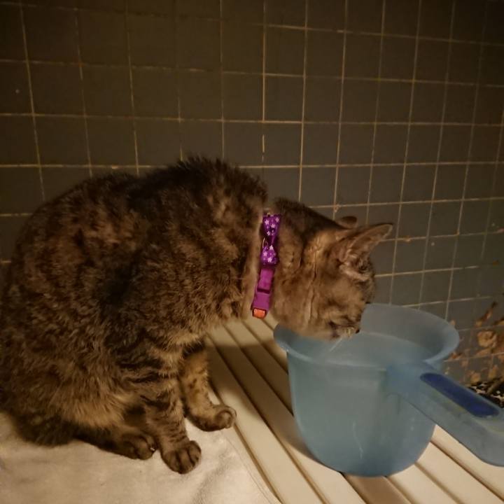 9aec1d78 2758 413a 84b9 b73537a87a06 1584179584045