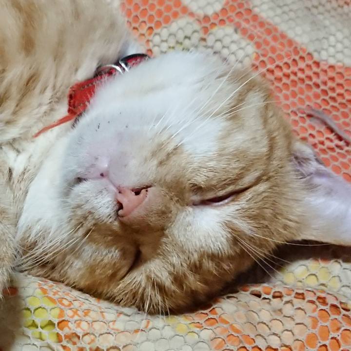 9aec5768 b6fc 4969 92e7 3f301de62646 1570110224954