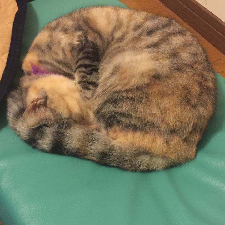 9aec6c88 e84b 4d3e a9c7 622f06d9f08c 1547556620872