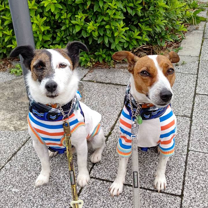 9aec801c 4b10 4b3b bf5c e95bd8485e13 1622934405298