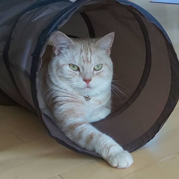 9aec9813 d06c 4ffb b1e0 21aa6286d6d7 1538014701893