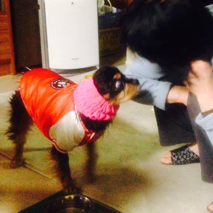 9aec982f 00bf 4fd6 996e bd800d456483 1571234341206