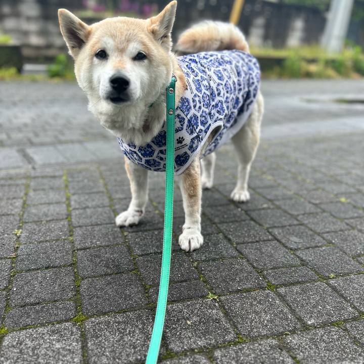 9aeca3d8 297b 4679 a2a1 b7702f3f71e8 1747467499798