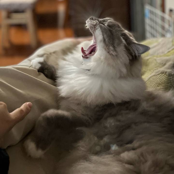 9aecb784 e849 47af 920d b0bbc9deabaa 1659879317321