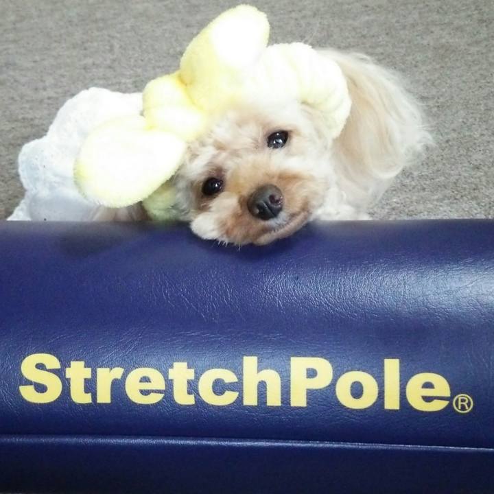 9aecd8a1 c6a1 4ae2 90f6 5c999b8c185b 1533034472879