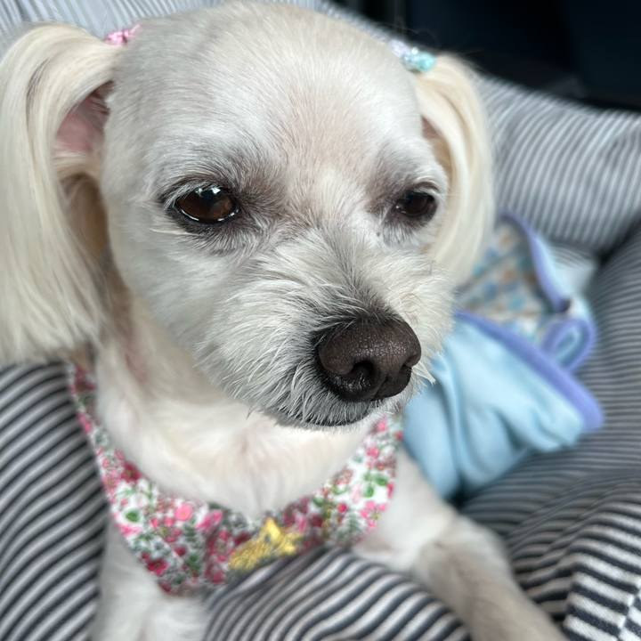 9aece409 67af 43c4 88c8 83a6c1da49f0 1686372298613