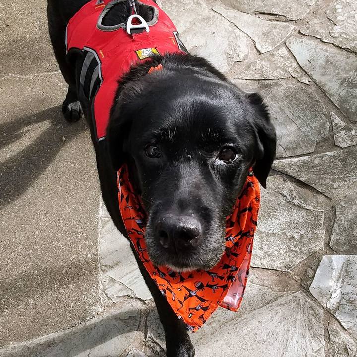 9aecf504 f3fd 42a3 8213 e6e416107e7c 1698562256511