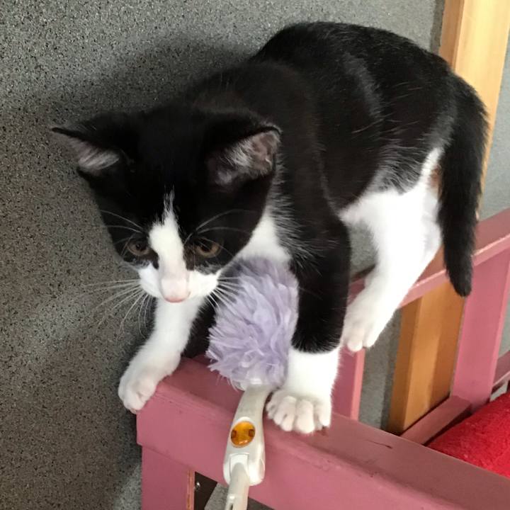 9aed0f3a 387b 4d60 8b62 bf5b0e5d53b8 1625623445523