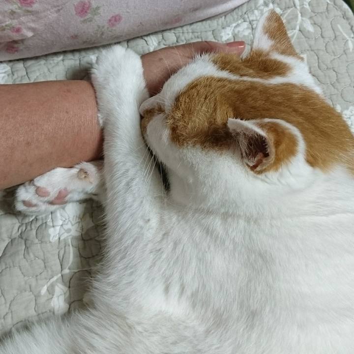 9aed130d f8f4 4117 8b96 631778ab00d9 1521725319778